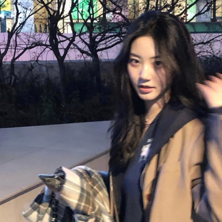 连理枝粤语